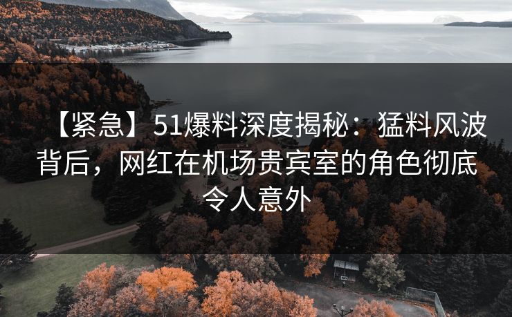 【紧急】51爆料深度揭秘：猛料风波背后，网红在机场贵宾室的角色彻底令人意外